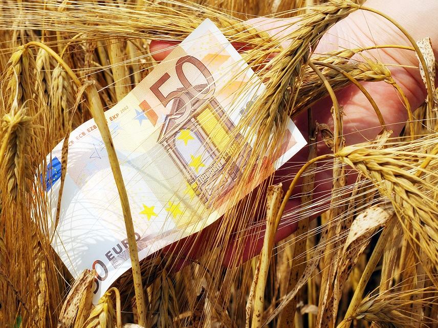 Από 1η Μαρτίου οι αιτήσεις επιστροφής ΦΠΑ αγροτών του ειδικού καθεστώτος