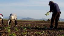 Αποζημιώσεις 1,2 εκατ. ευρώ σε αγρότες από τον ΕΛΓΑ