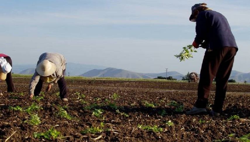 Aγρότες: Στην τελική ευθεία για την έναρξη της διαδιακσίας ενεργοποίησης δικαιωμάτων