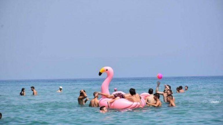 Περιπέτεια με ... ροζ φλαμίγκο - Τα θαλάσσια ρεύματα τους τράβηξαν μακριά από την ακτή