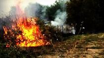 Πυροπροστασία: Πώς θα αποφευχθούν οι αγροτικές πυρκαγιές