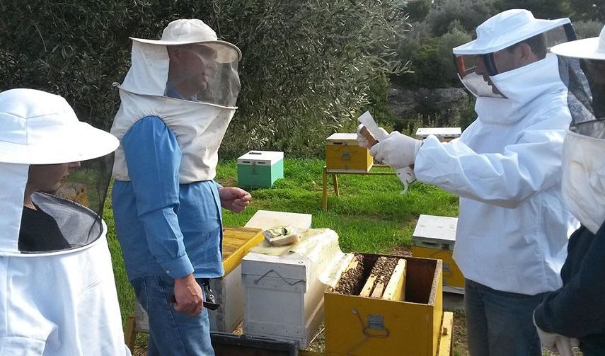 Σεμινάριο μελισσοκομίας από το ΚΕΚ του Επιμελητηρίου