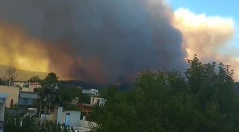 Εκτός ελέγχου η φωτιά στην Ευβοια!