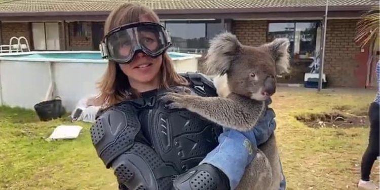 Αυστραλία: Την έπεισαν να φορέσει… «πανοπλία» για να κρατήσει ένα κοάλα!