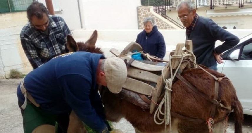 Τουρίστας επισκέπτεται συχνά την Κρήτη για να φροντίσει 100 ζώα σε 45 χωριά