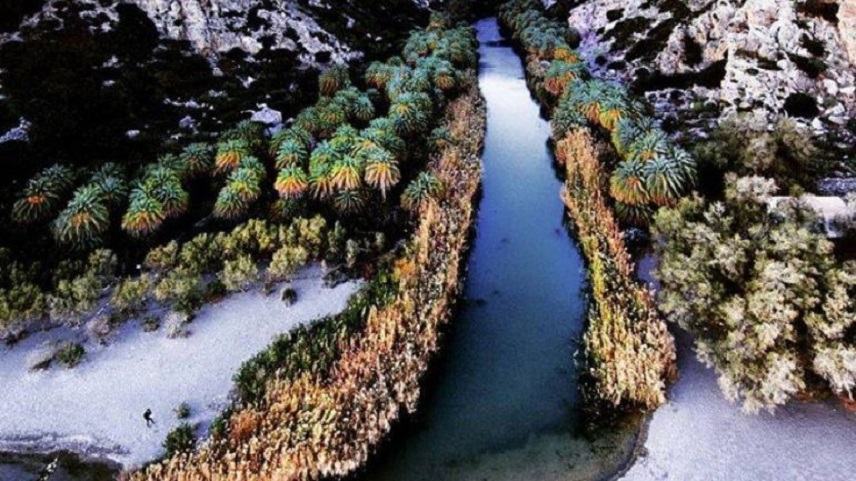 Πανέμορφη εικόνα από το φοινικόδασος της Πρέβελης που “ντύθηκε” στα λευκά!