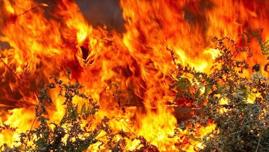Οι ισχυροί άνεμοι αυξάνουν τον κίνδυνο πυρκαγιάς στο Νότο και την ανάγκη για μεγαλύτερη προσοχή