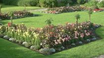 Τι θα φυτέψετε την άνοιξη στον κήπο, τη βεράντα ή τον κήπο σας...