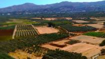 Κρήτη: Δραματικά στοιχεία για τις αγροτικές εκμεταλλεύσεις