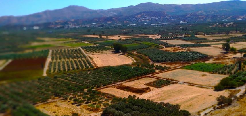 Κρήτη: Δραματικά στοιχεία για τις αγροτικές εκμεταλλεύσεις