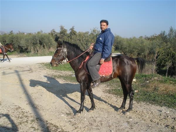 Η αρχαιότερη ράτσα αλόγου στον κόσμο ζει στη Μεσαρά εδώ και χιλιάδες χρόνια! (φωτο +βιντεο)