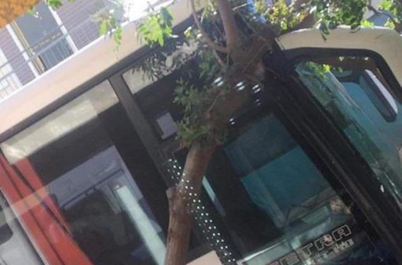 Λεωφορείο του ΚΤΕΛ πήρε σβάρνα δέντρο στους Αγίους Δέκα