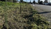 Π.Σ Τυμπακίου: Επιτυχημένη η δράση δεντροφύτευσης-Το μήνυμα των διοργανωτών
