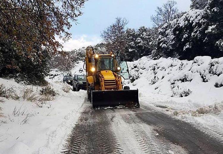 Τα σχολεία που θα μείνουν κλειστά λόγω της κακοκαιρίας - Κλειστα σε Γόρτυνα και Αστερουσια