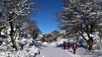 Μαγική διαδρομή για τολμηρούς στο Ζαρό (φωτο)