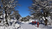 Μαγική διαδρομή για τολμηρούς στο Ζαρό (φωτο)