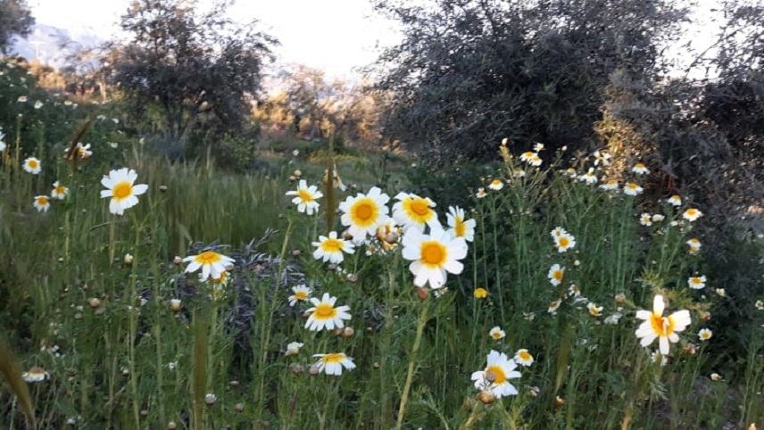 H σημερινή πρόγνωση του καιρού για την Κρήτη