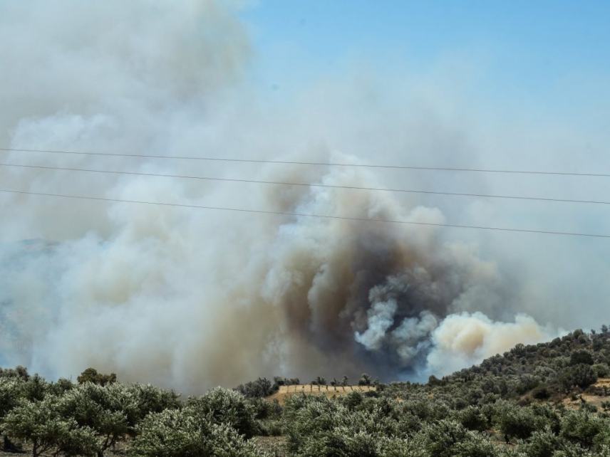Χωρίς ενεργό μέτωπο η φωτιά στο Αμάρι-Μεγάλη η καταστροφή