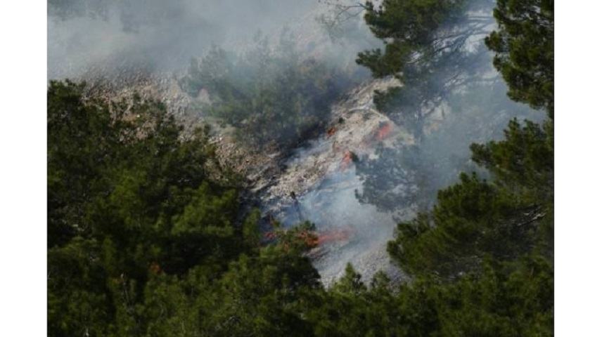 Υπό μερικό έλεγχο η μεγάλη φωτιά - Στάχτη δεκάδες στρέμματα δάσους