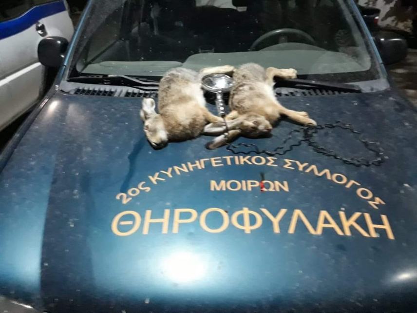 Μεσαρά: Καταδίωξαν τους λαθροθήρες!