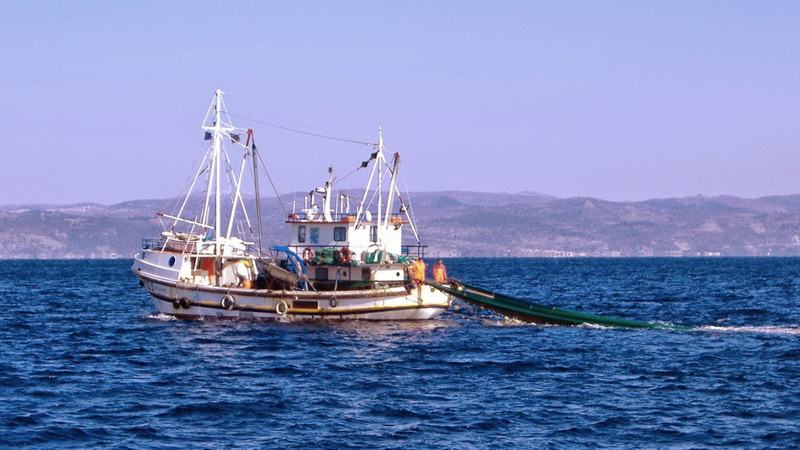 Μεσαρά: «Πολύ σημαντική η χρηματοδότηση δράσεων για την αντιμετώπιση των επικίνδυνων ψαριών»
