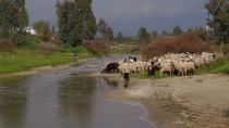 Με τα πρόβατα στο Γεροπόταμο