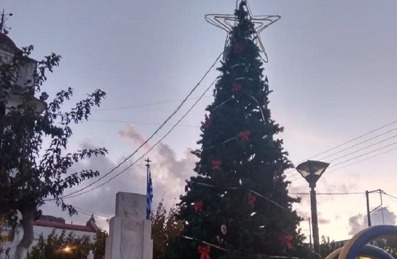 Άρωμα Χριστουγέννων: Άναψε το δέντρο στην Πόμπια!