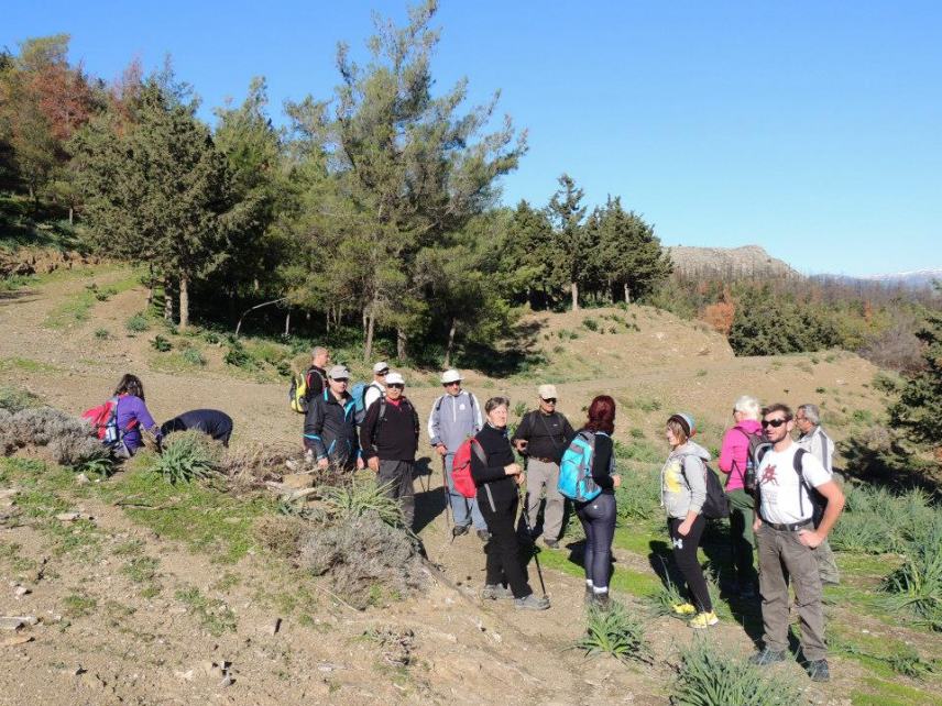 Στο μαγευτικό δάσος των Τρυπητών και στην Αληθινή (φωτο)