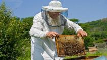 Τουλάχιστον 200.000€ για την ενίσχυση της Ελληνικής Μελισσοκομίας