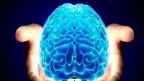 Ο πρώτος ανθρώπινος εγκέφαλος εργαστηρίου είναι γεγονός