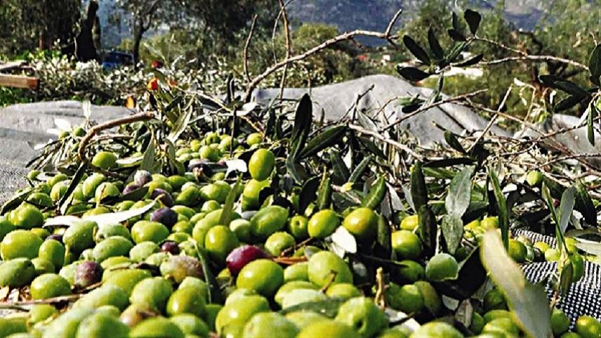 Τα “μυστικά” για τις επιδοτήσεις