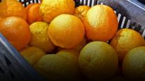 Τα πορτοκάλια έχουν γίνει ανάρπαστα λόγω…κορωνοϊού