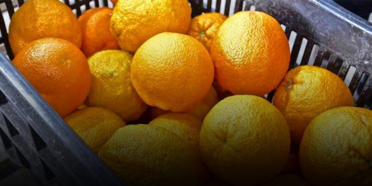 Τα πορτοκάλια έχουν γίνει ανάρπαστα λόγω…κορωνοϊού