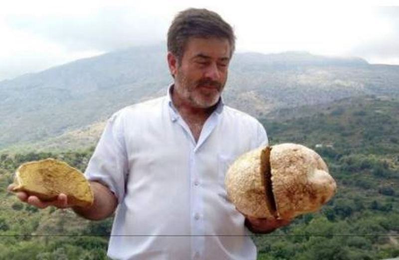 Μανιτάρι - γίγας στα νοτιοδυτικά του Ψηλορείτη (φωτο)