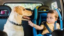 Καύσωνας: Σε πόση ώρα «βράζει» το αυτοκίνητο – Προσοχή στα παιδιά