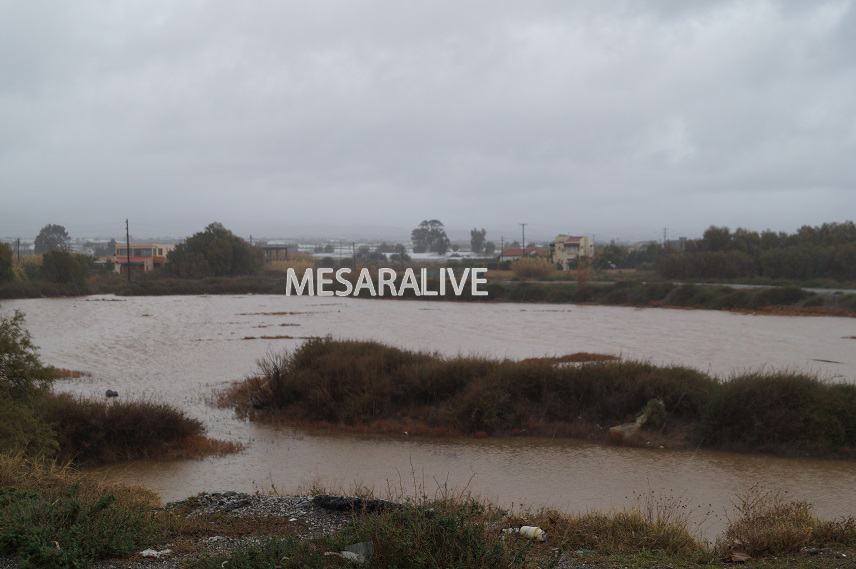 Όμορφες εικόνες από τον υδροβιότοπο της Καταλυκής