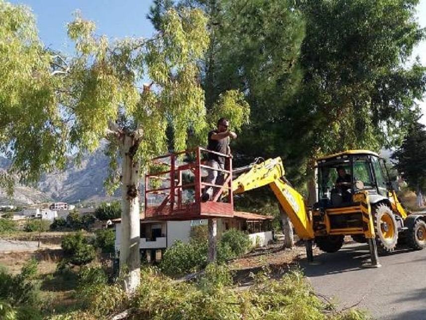 Συνεχίζονται οι εργασίες κλαδεύσεων και καλλωπισμού στις Δημοτικές Ενότητες του Δήμου Φαιστού