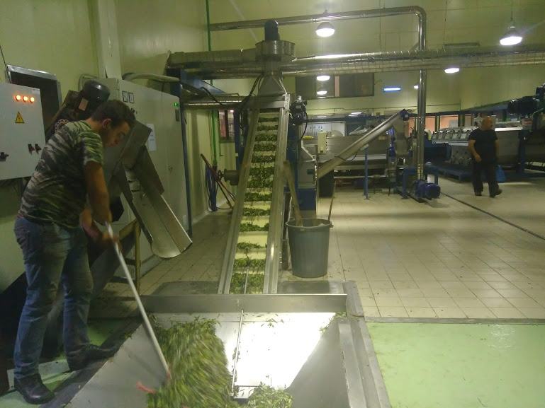 H απάντηση στα «παιχνίδια» με το λάδι και η στήριξη στους αγρότες από τον Όμιλο Αλμπαντάκη