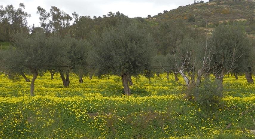 Η άνοιξη άργησε μια μέρα