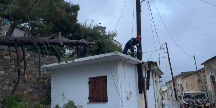 Ο αέρας έριξε πεύκο σε ταράτσα σπιτιού