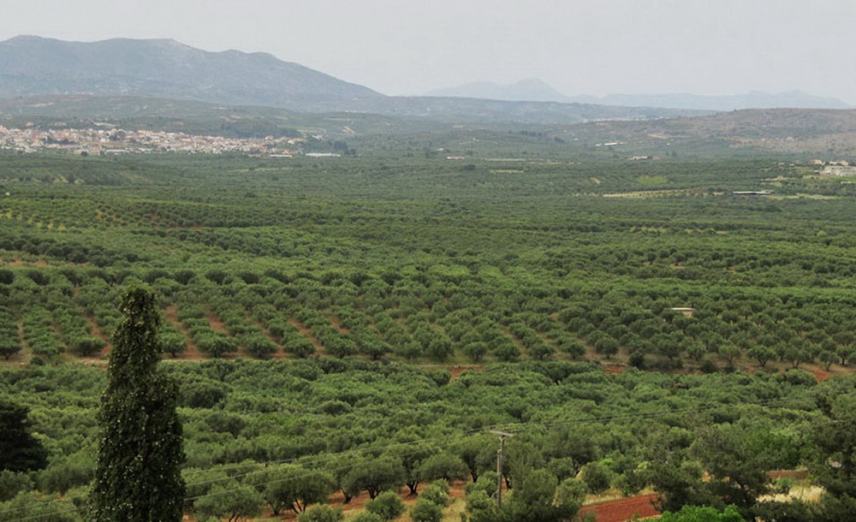 Στην Κρήτη ο Κυριάκος Μητσοτάκης για το νέο αεροδρόμιο Καστελίου