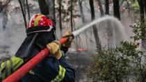 Φωτιά καίει καλάμια στην Παχιά Άμμο στον Αφραθιά