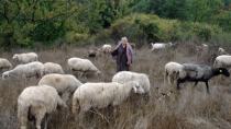 Κρήτη: Το χωριό αποφάσισε την απομάκρυνση του κτηνοτρόφου