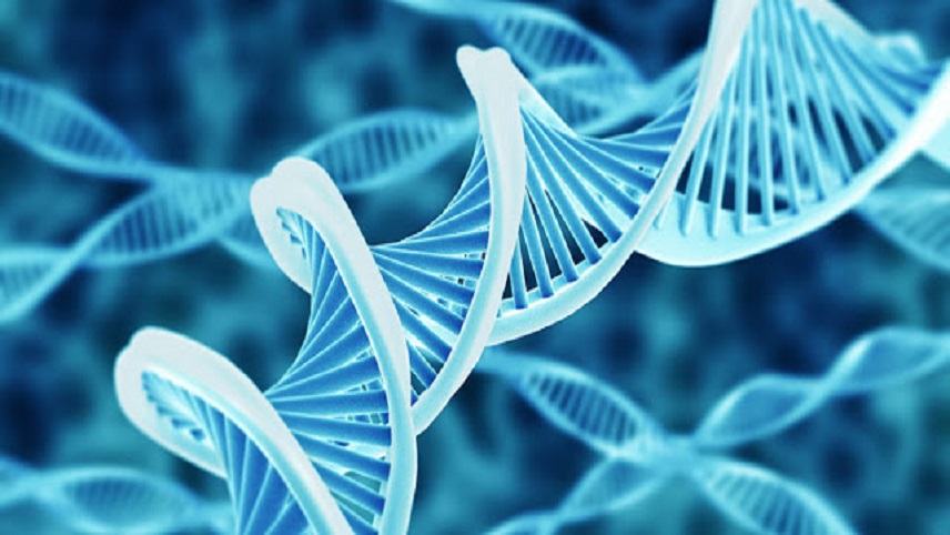 Ερευνητές εντοπίζουν ένα νέο γενετικό παράγοντα κινδύνου για την ανάπτυξη ΣΚΠ