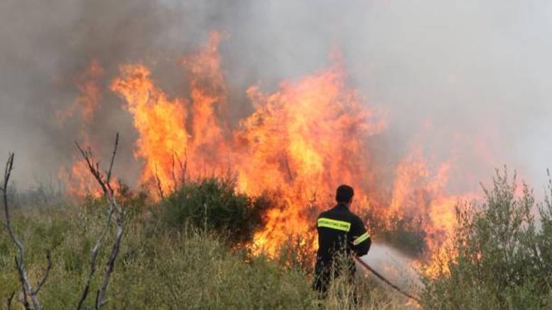 Σε επιφυλακή η Πυροσβεστική για τα πύρινα μέτωπα σε Αρκαλοχώρι και Μέλαμπες