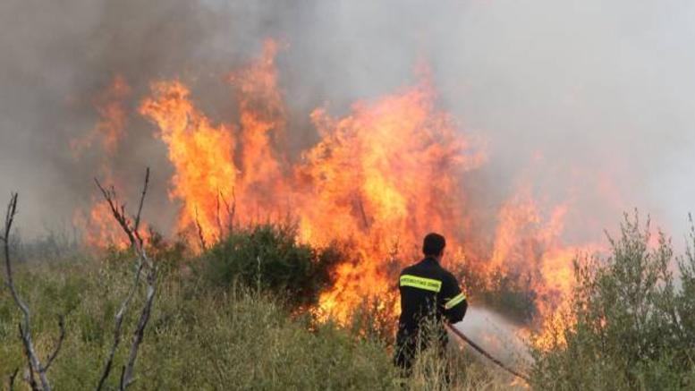 Υψηλός ο κίνδυνος πυρκαγιάς στην Κρήτη