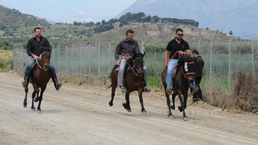 Τα Γεωργαλίδικα άλογα της Μεσαράς.