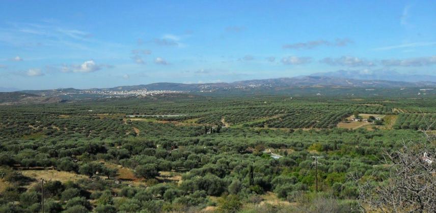 Επίσκεψη για το αεροδρόμιο στο Καστέλι