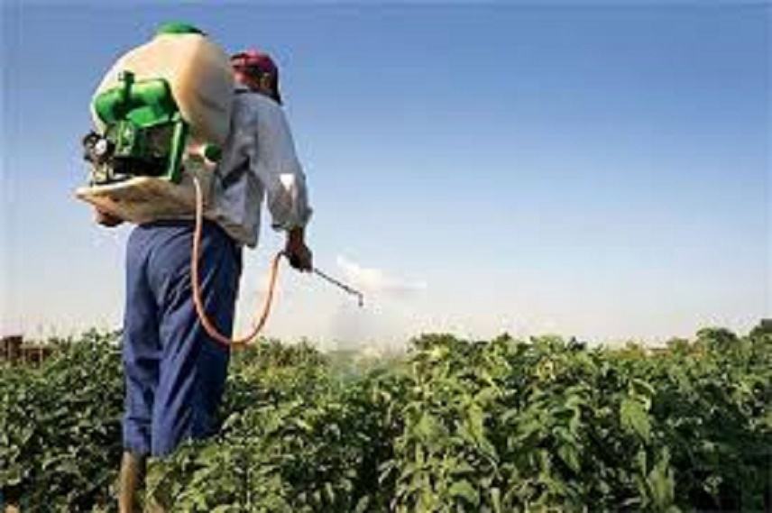 Αγρότες: Οδηγίες για τη σωστή χρήση φυτοφαρμάκων