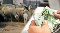Μοιράζεται η πρώτη «φουρνια» των 13 εκ. ευρώ σε αγρότες